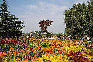 《迷失》奖杯公布 喵叫100次睡一小时？